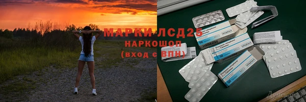 индика Нягань