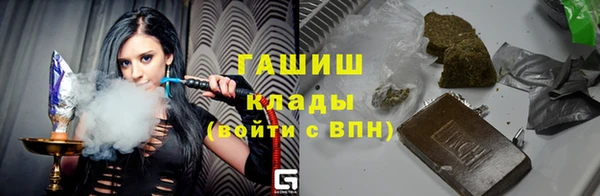 индика Нягань