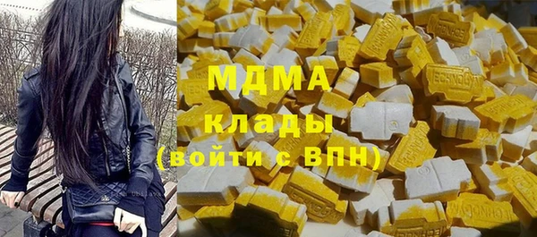 индика Нягань