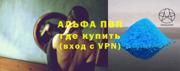 индика Нягань