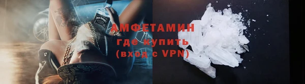 индика Нягань