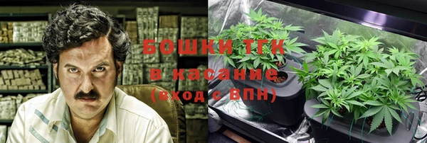 ешки Осинники