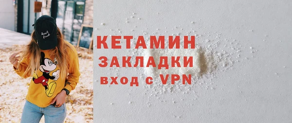 индика Нягань