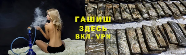 индика Нягань