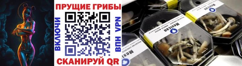 Галлюциногенные грибы прущие грибы  Энем 