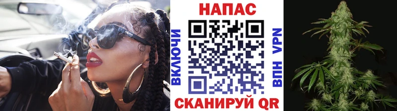 Канабис планчик  дарнет шоп  Энем 